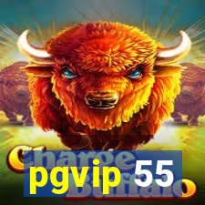 pgvip 55